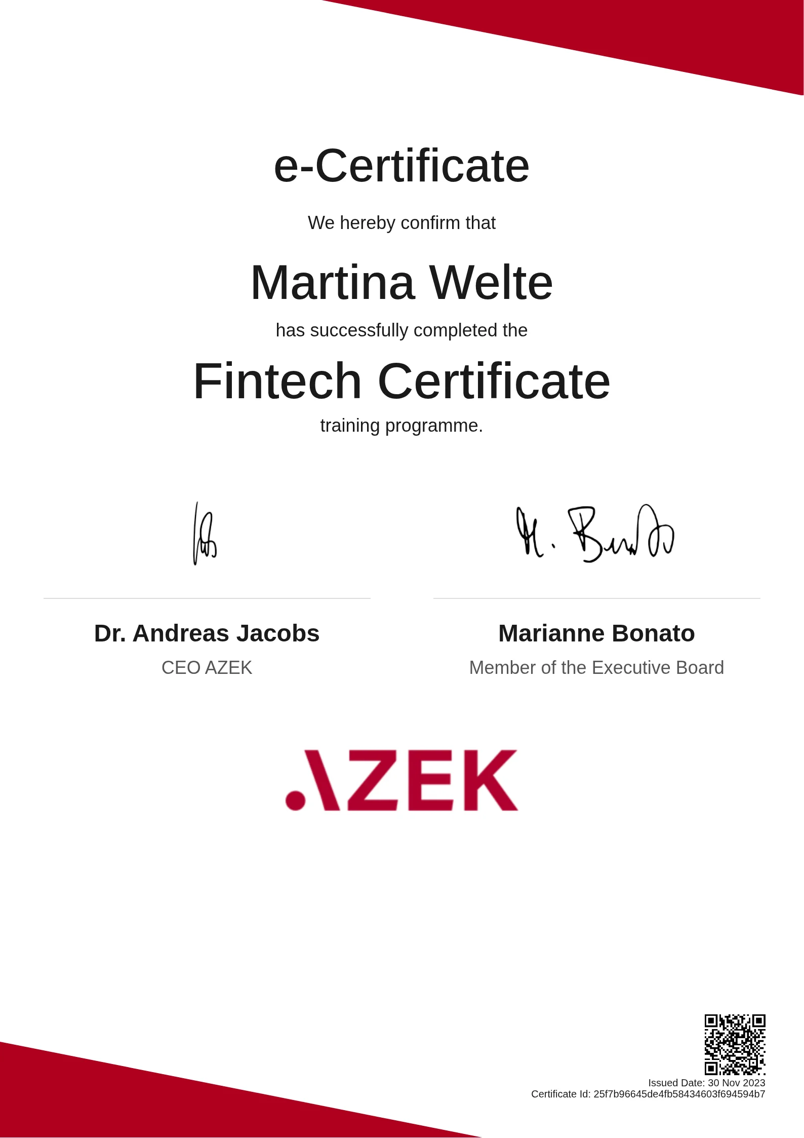 Martina Welte | Fintech Certificate