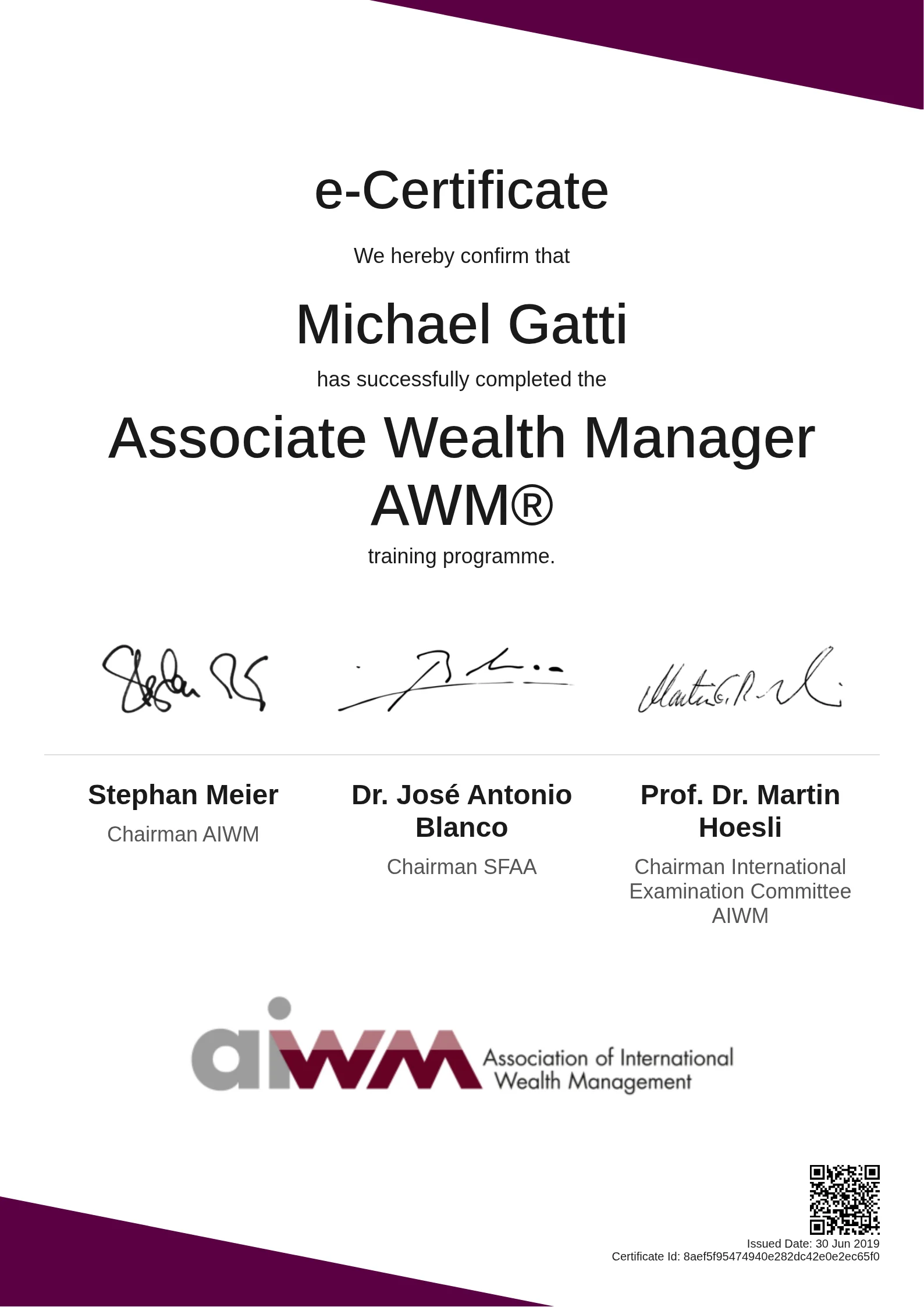  Michael Gatti | Associate Wealth Manager AWM®